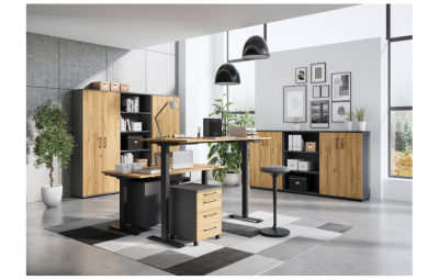 PISARNISKO-POHISTVO-PROFI